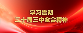 二十屆三中全會
